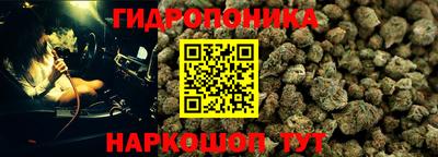 spice Берёзовский