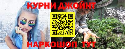 мяу мяу мука Беслан