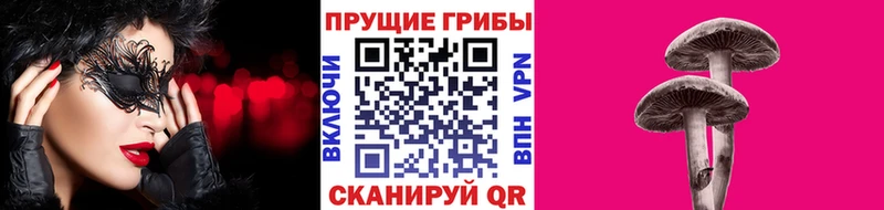 Псилоцибиновые грибы прущие грибы  Курган 