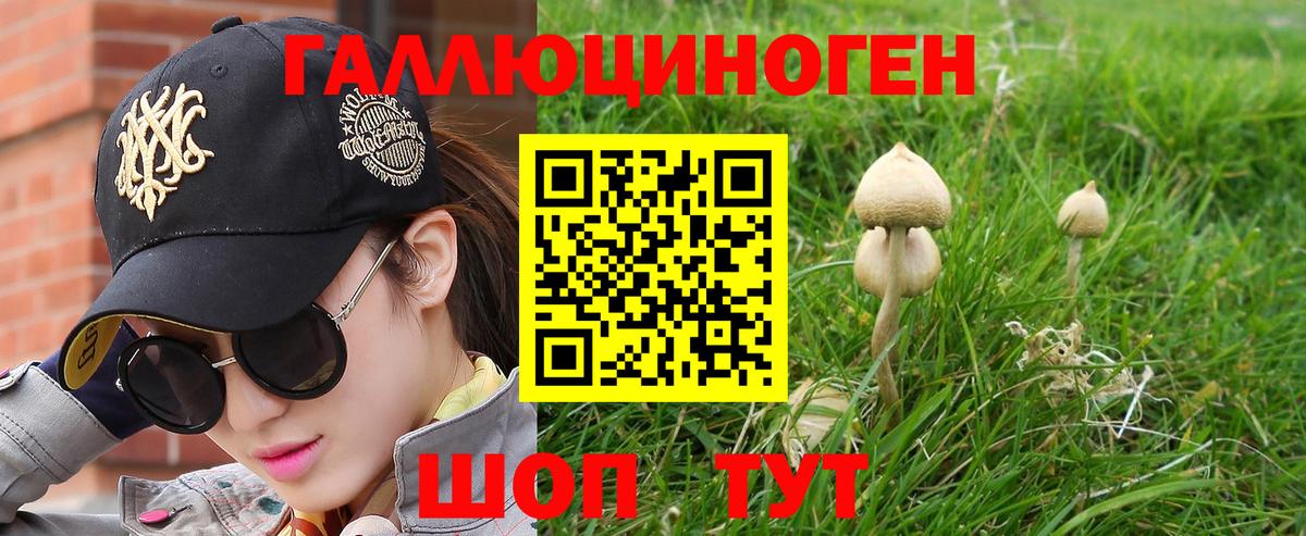 Курган  Псилоцибиновые грибы Psilocybine cubensis  Вход с VPN 