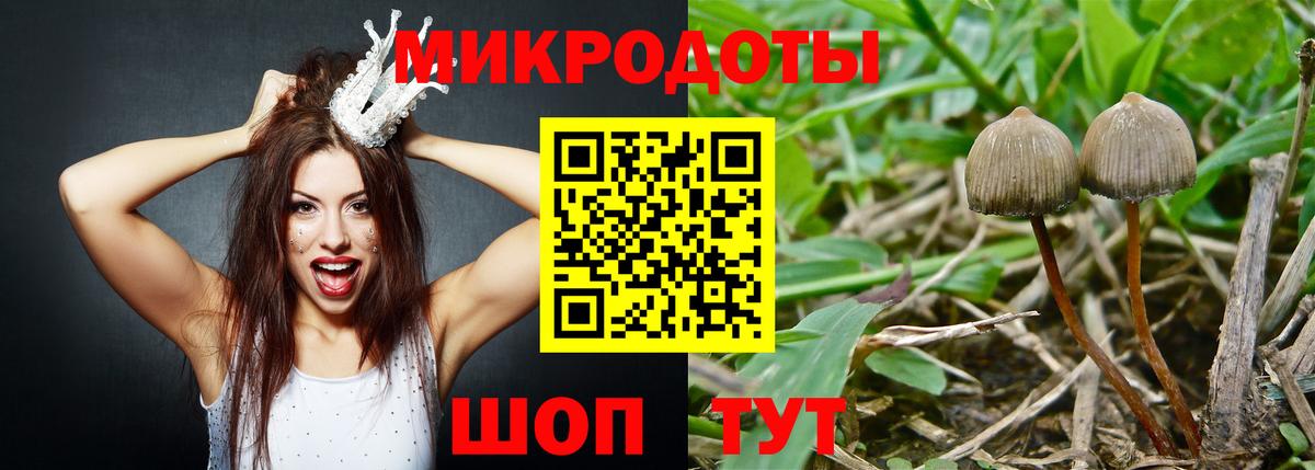 Псилоцибиновые грибы Magic Shrooms  Курган 
