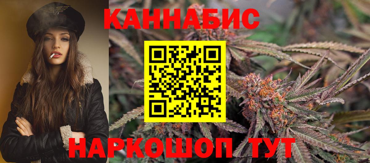 Бошки марихуана планчик  Конопля OG Kush  Канабис планчик  Курган  Вход с VPN 